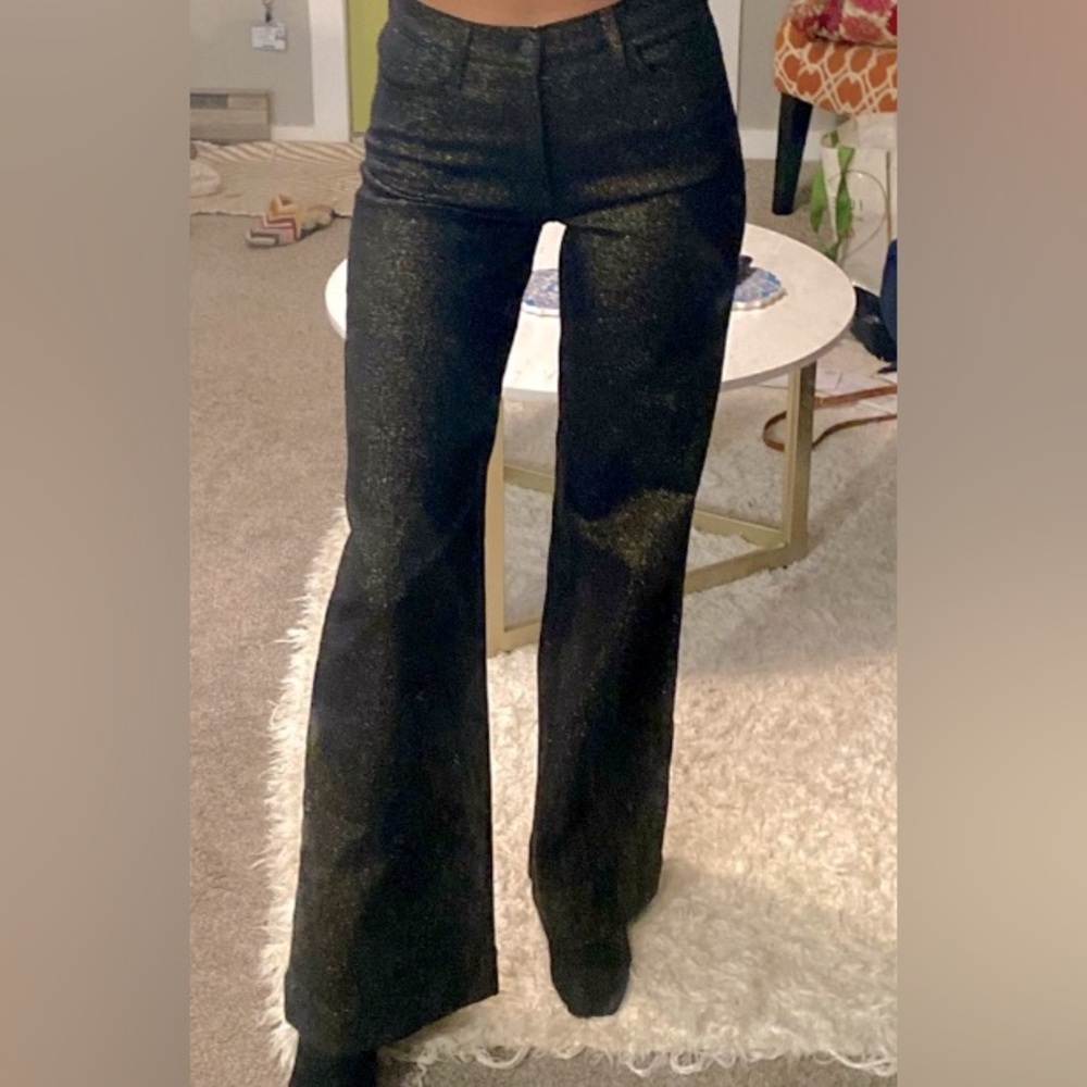 Hudson Jeans Holly High Rise Metallic Wide Leg New
